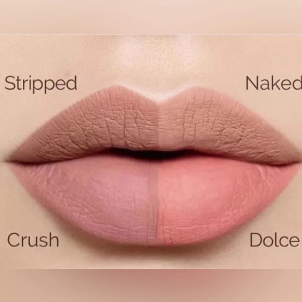 Stripped Anastasia Beverly Hills Liquid Lipstick Neutral Nude Brand New In Box
